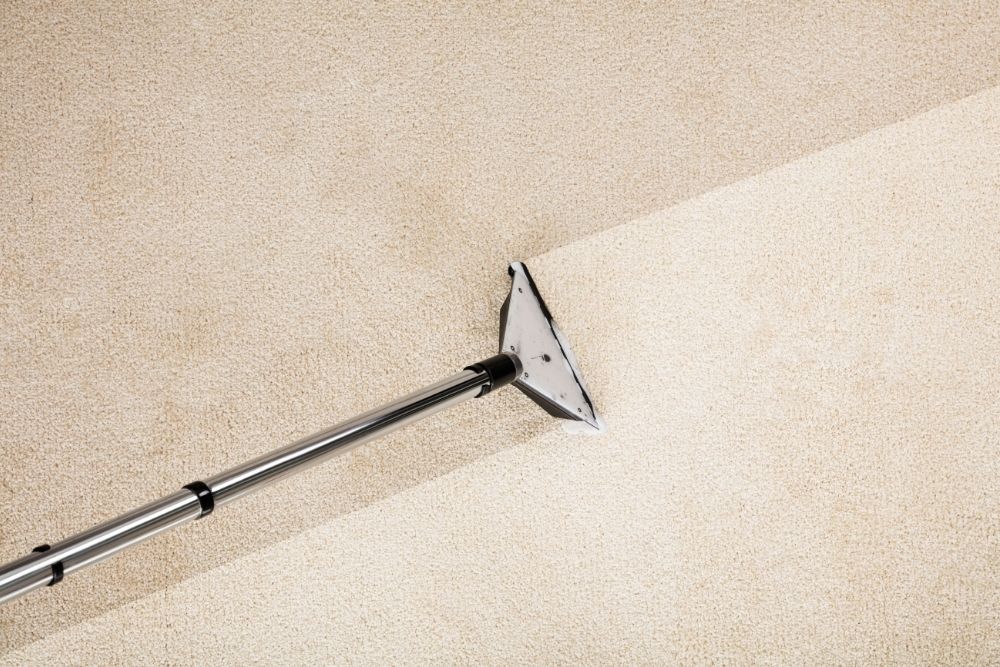 carpet cleaner humble tx